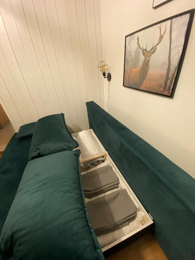 Apartment Am Wasserfall Mit Sauna & Top-Lage Feldberg  Buitenkant foto