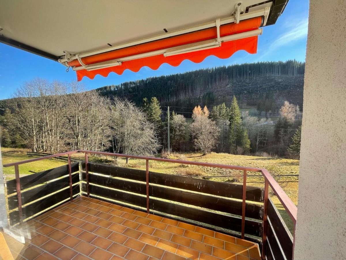 Apartment Am Wasserfall Mit Sauna & Top-Lage Feldberg  Buitenkant foto