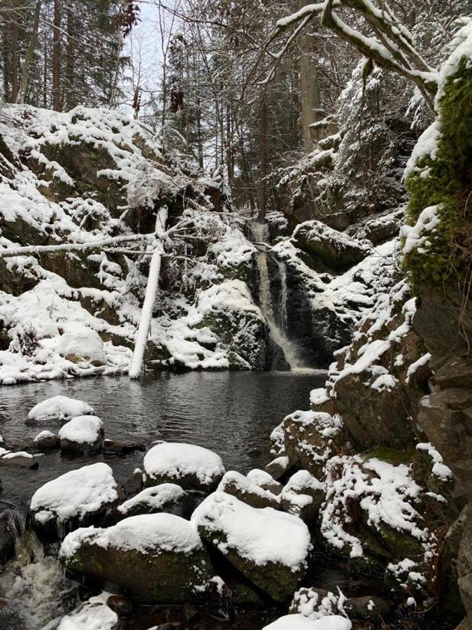 Apartment Am Wasserfall Mit Sauna & Top-Lage Feldberg  Buitenkant foto